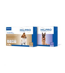 Milpro Hund - Entwurmung