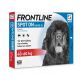 Frontline Spot On für Hunde – Gegen Flöhen und Zecken