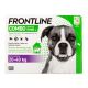 Frontline Combo™ - Pipetten gegen Flöhe und Zecken für Hunde – Merial / Direct-Vet