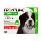 Frontline Combo™ - Pipetten gegen Flöhe und Zecken für Hunde – Merial / Direct-Vet