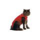 Medical Pet Shirt - Katzenbody