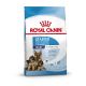 Royal Canin Starter Mother & Babydog Maxi (25 bis 45kg) - Welpenkroketten