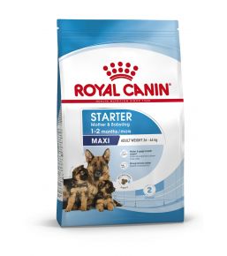Royal Canin Starter Mother & Babydog Maxi (25 bis 45kg) - Welpenkroketten