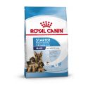 Royal Canin Starter Mother & Babydog Maxi (25 bis 45kg) - Trockenfutter