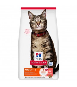 Hill's Science Plan Adult Katze mit Lachs - Trockenfutter