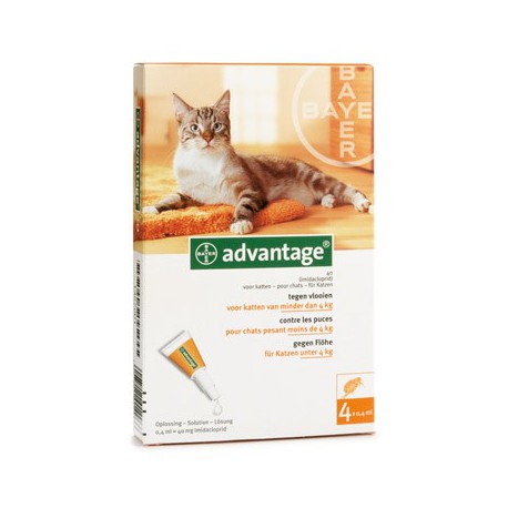 Advantage Katze 40 x4