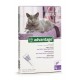 Advantage Katze 80 x4