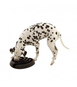 Buster DogMaze Anti-Schling-Napf für Hund
